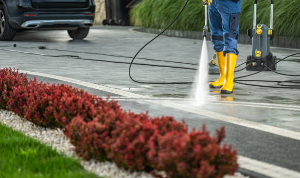 Best Fence Cleaning  in Mahomet, IL